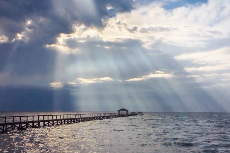Port Aransas Weather Starkey Properties